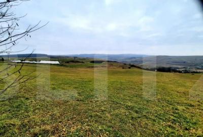 Teren de 4300 mp, în Sopor - 2