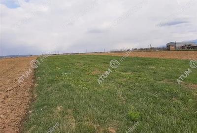 Teren de 1400 mp, în Central - 7