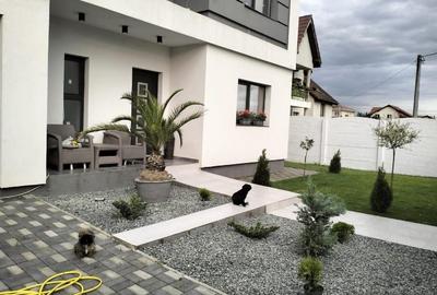 Duplex cu 5 camere cu Canalizare în Dumbrăvița - 2