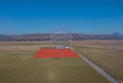 Teren 11,600mp Ra?nov / DN 73 zona Tabara, bonus un teren de 3000 mp - 1