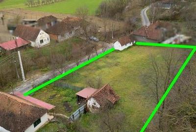 RECO Casa de vacanta la Holod- langa padure- teren 2190mp - 1