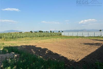 TEREN INTRAVILAN, 738 MP, HARMAN TEREN INTRAVILAN, 738 MP, HARMAN - 3