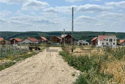 Teren de 528 mp, în Betfia - 4