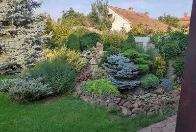 Ag EUROPA vinde casa individuala 6 cam. si teren 5 ari in Titulescu. Ag EUROPA vinde casa individuala 6 cam. si teren 5 ari in Titulescu. - 9