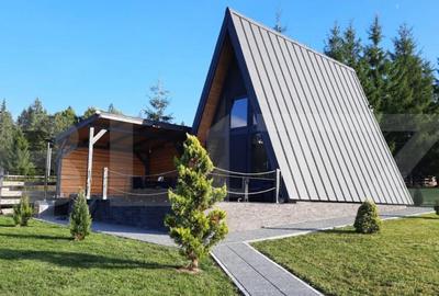 Oportunitate-cabana de vanzare, 4 camere, 75 mp, 34,5 ari te - 2