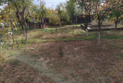 Teren Intravilan Poienarii Rali Prahova 700mp - 4