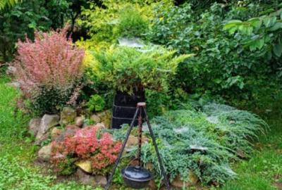 Colt de rai intr-un peisaj de poveste! Casa 4 camere intre D Colt de rai intr-un peisaj de poveste! Casa 4 camere intre D - 14