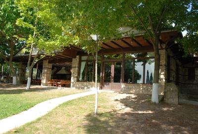 Casa de vacanta lux premium Grecia - 10