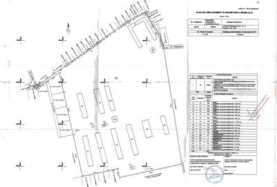 Teren 80.084 mp Otopeni - Intrarea Mesteacanului - 2