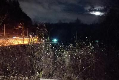 Inchiriere 3 camere la casa, 100 mp, terasa, beci, curte, 5 km de Brasov - 4