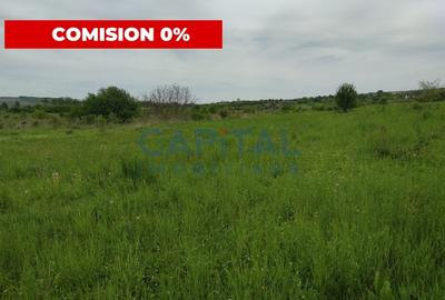 Teren agricol intravilan de 800 mp, în Sopor