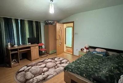 VILA Demisol+ Parter +Et 1+ Mansarda Ultracentral - 5