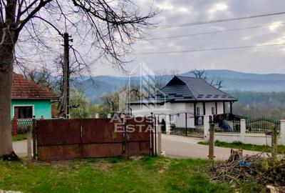 Casă individuală cu 4 camere cu Canalizare în Măgulicea - 15