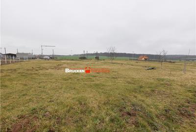 Teren de 600 mp, în Marghita