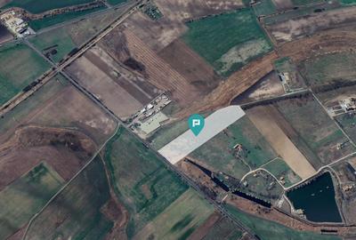 Teren agricol extravilan de 50000 mp, în Exterior Vest - 2