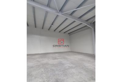 Depozit/hala/spatiu industrial Chiajna - Chitila - Rudeni - 2