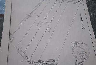 Teren de 2800 mp, în Târgușor - 3