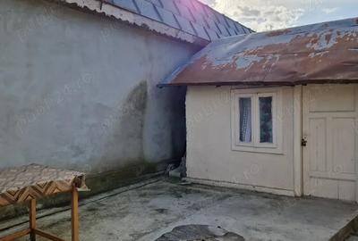 Casa de vanzare si teren, Jud.Braila, Comuna VIZIRU - 9