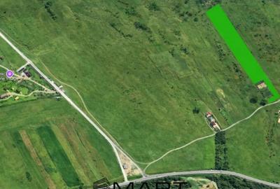 Teren de 8000 mp, în Central