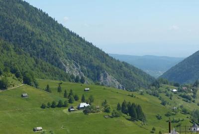 Casă cu 11 camere cu Teren 2000 Mp în Peștera - 9