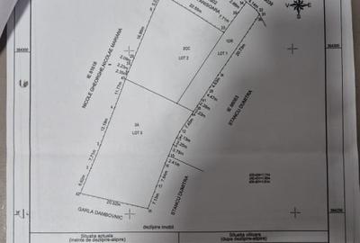 Teren Bradu (vis a vis de monument) - 4
