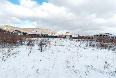 Teren de 2000 mp, în Zărnești