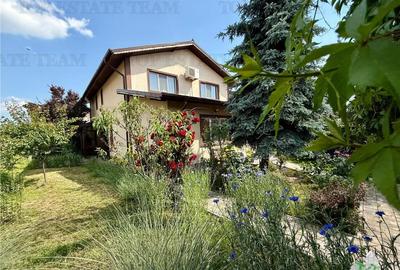 Vila P 1 Pod | 6 camere | 550mp teren | Stare excelenta - 3