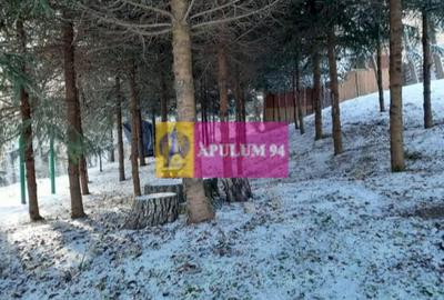 Casă de vânzare în Provița de Jos - 38