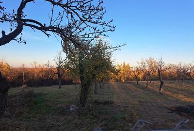 Casă cu 2 camere în Spineni - 5