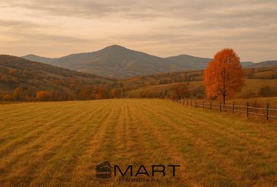Teren intravilan zona Tocile - 1