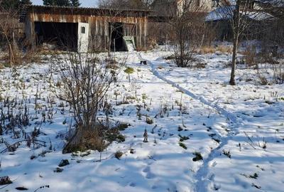 Casă cu 4 camere cu Teren 1300 Mp în Dascălu - 14
