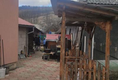 Casă cu 3 camere cu Teren 250 Mp în Abrud - 6