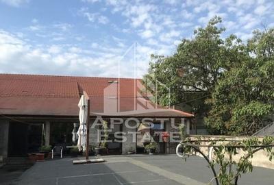 Spatiu comercial  1600 mpu, centrală  pe gaz, zona Ultracentrala - 10