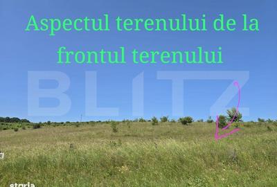 Spațiu comercial, în Sălicea - 5