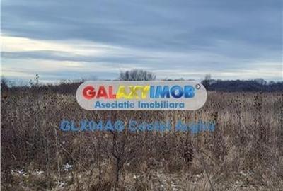 Vindem teren intravilan 3500 mp Smeura Vindem teren intravilan 3500 mp Smeura - 5