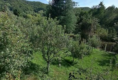 Casă cu 5 camere în Racovița - 2