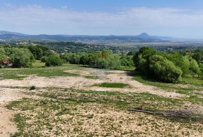 Teren Construcții intravilan de 1900 mp, în Sohodol - 6