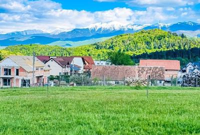 Teren de 704 mp, în Central - 3