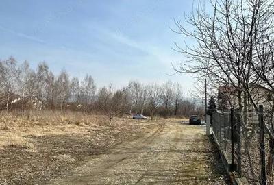 Teren de vanzare zona Bujoreni Valcea - 3