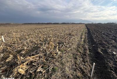 Spațiu comercial, în Cristian