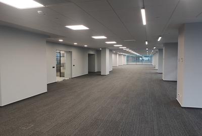 PIPERA-Porsche inchirieri/vanzari spatii cladire clasa A 200 mp-15000 mp - 10