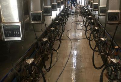 Vand ferma cu vaci - 10