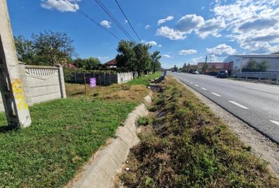 Teren intravilan 2844 mp in Sat Iasi-Gorj, Com. Dragutesti - 8