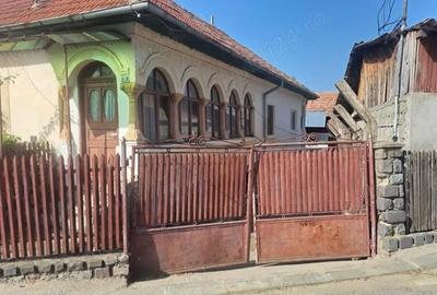 Casă cu Teren 800 Mp în Central - 5