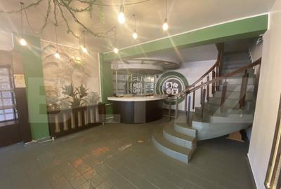 Cladire comerciala, 377 mp, zona Bulevardul Gheorghe Chitu - 1