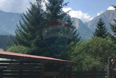 Casă cu 6 camere cu Teren 544 Mp în Cantacuzino - 14