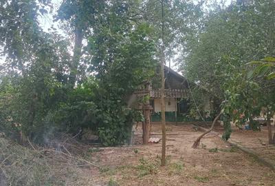 Spațiu comercial, în Merii Petchii - 1