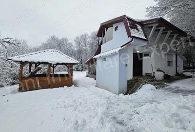 Casă în Brădetu - 4