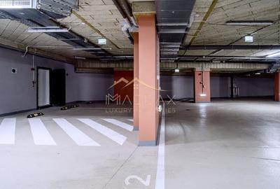 Apartament de Inchiriat | Iancu Nicolae | 154 mp | Terasa 150 mp | - 25