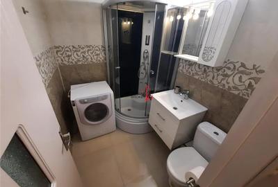 Inchiriere garsoniera moderna, an 1980 Armenesc/Lidl/ Magazine Marius - 16